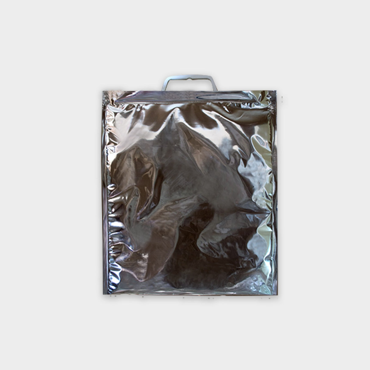 Busta termica 35 x 30 cm